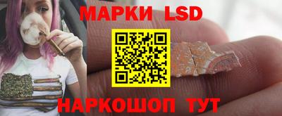 спиды Краснодар